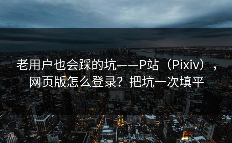 老用户也会踩的坑——P站（Pixiv），网页版怎么登录？把坑一次填平
