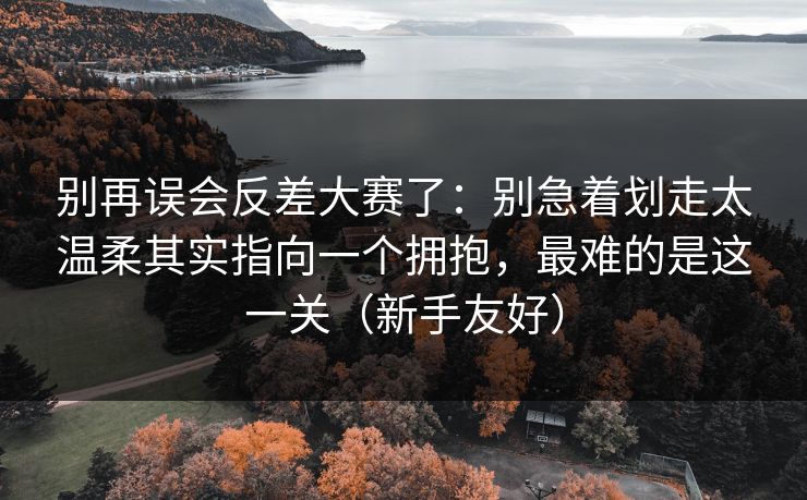 别再误会反差大赛了：别急着划走太温柔其实指向一个拥抱，最难的是这一关（新手友好）