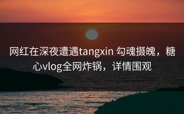 网红在深夜遭遇tangxin 勾魂摄魄，糖心vlog全网炸锅，详情围观
